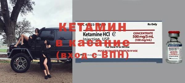 прущие грибы Абинск