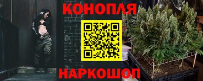 ПСИЛОЦИБИНОВЫЕ ГРИБЫ Среднеуральск