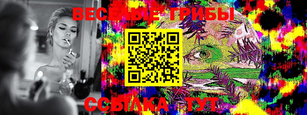Псилоцибиновые грибы GOLDEN TEACHER Сертолово